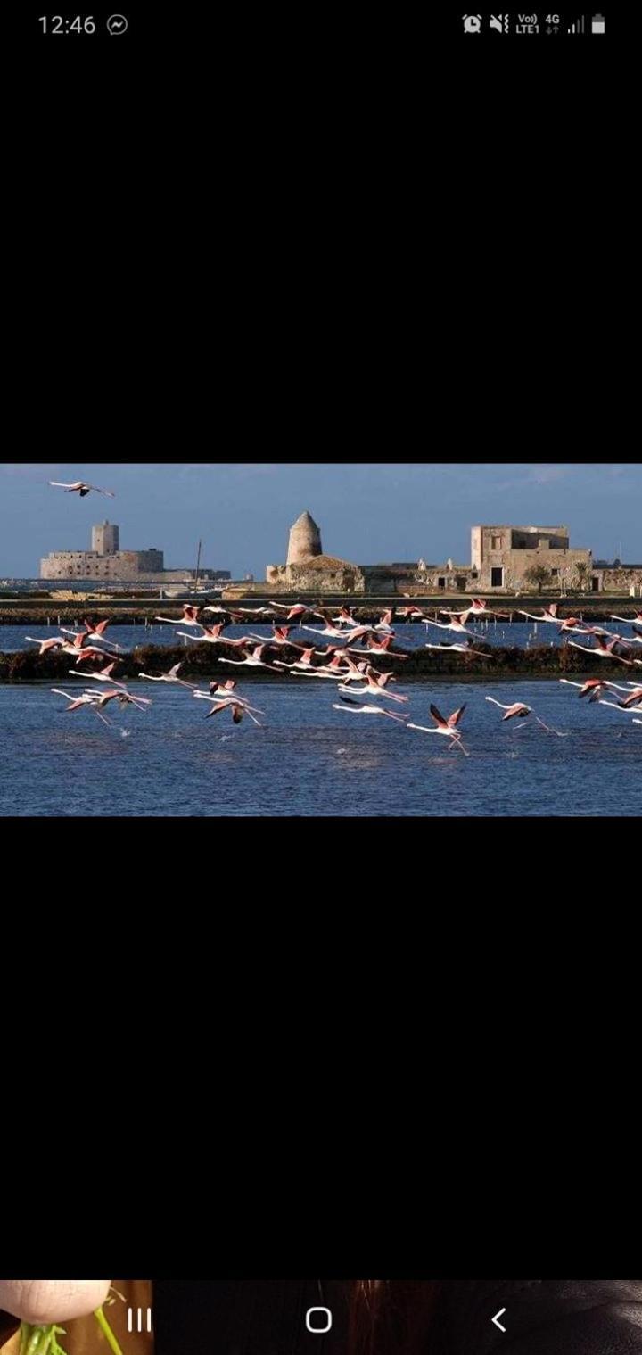 Hotel Casa Dei Mulini A Vento Trapani Esterno foto